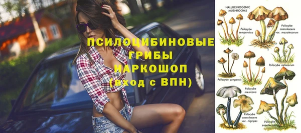 крисы Михайлов