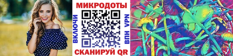 Галлюциногенные грибы Psilocybine cubensis Лихославль